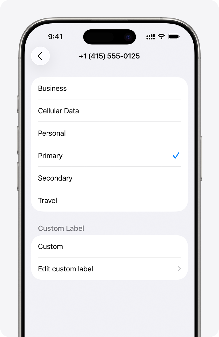 Dual eSIM setup menu with list of cellular plan labels